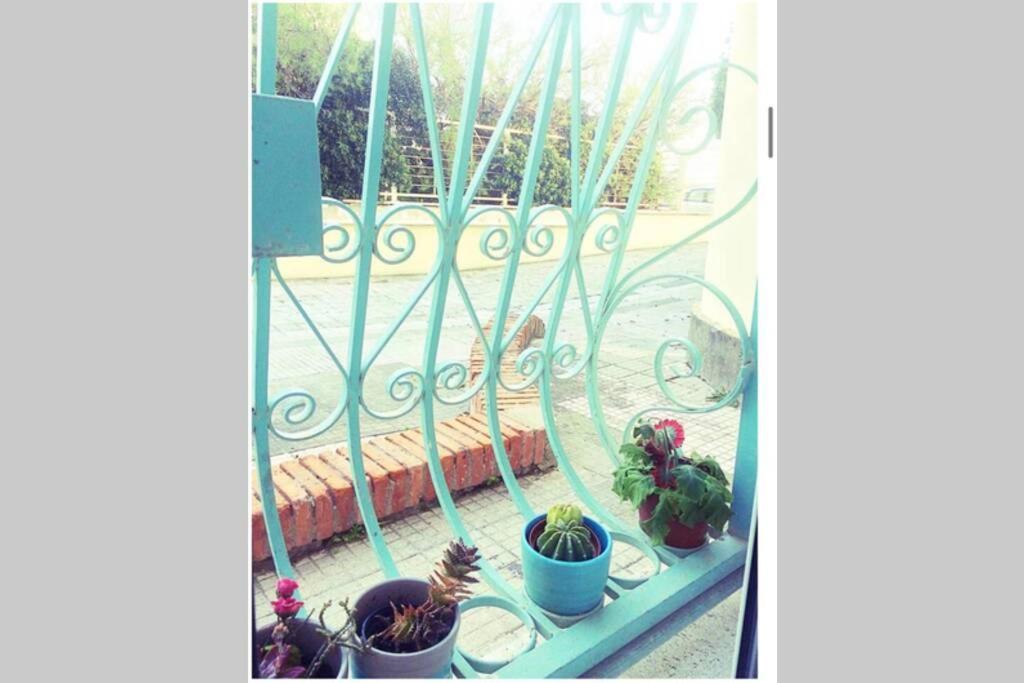 Cosy Studio Flat On The Seaside Apartment Lido di Ostia Exterior foto