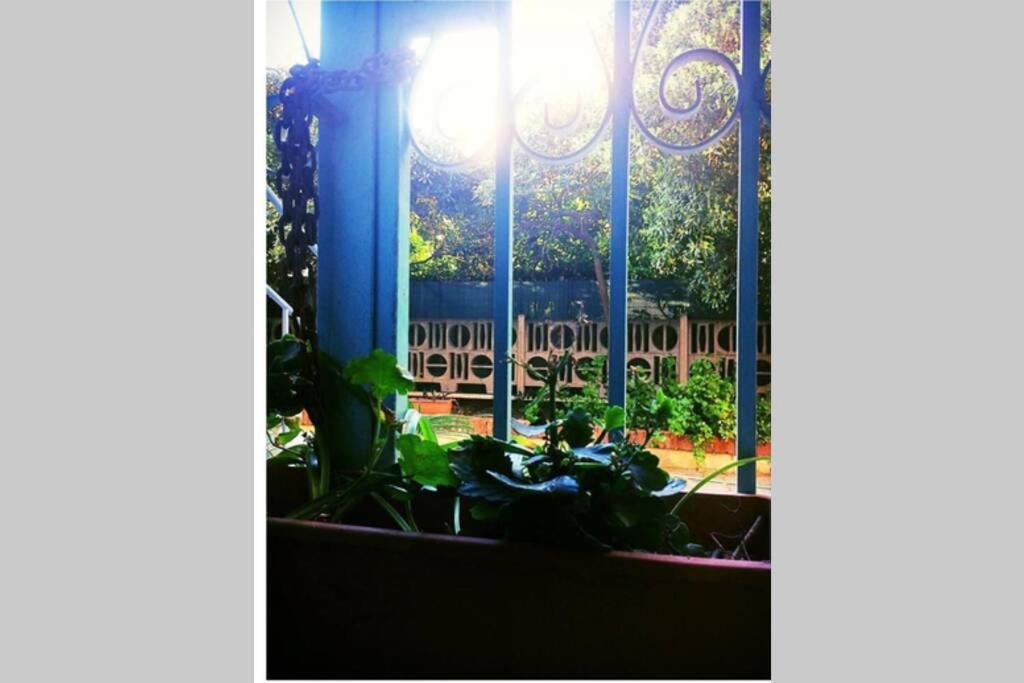 Cosy Studio Flat On The Seaside Apartment Lido di Ostia Exterior foto